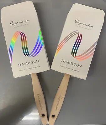 2 X 3  Hamilton Expression Next Generation Synthetic Bristle Flat Paint Brush • £15