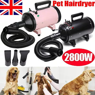 £62.30 • Buy Professional Pet Hairdryer Dog Grooming Dryer Hair Drying Blower Bathing Beauty