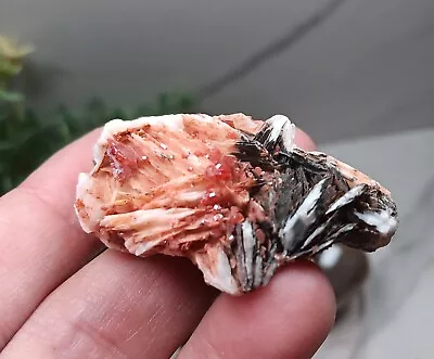 RED VANADINITE / BARITE MIBLADEN MOROCCO MINERALS CRYSTALS GEMS- 34g 1.88  B3 • $17