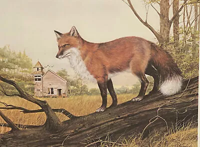 R.J.Mcdonald Faithful Fox S/N Art Print 21.5 X 16 • $395