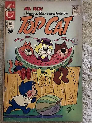 Top Cat / Charlton Comics / 1973 / Issue 15 • £7