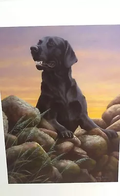 £49.95 • Buy Game Boy By Nigel Hemming Limited Edition Black Labrador Dogs
