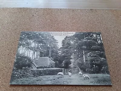 £12.95 • Buy Homewood Series Burgess Hill Postcard Entrance To The Five Hundred Crowborough S