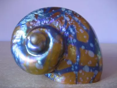 New American Studio Art Class Carl Radke Shell Sculpture Amber Blue Iridescent • $230