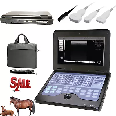 CONTEC VET Veterinary Ultrasound Scanner Laptop Machine Optional Probe USA Fedex • $400