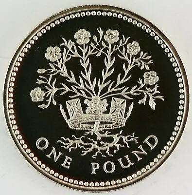 £12.99 • Buy 1986 Royal Mint N.I. Flax Plant Silver Proof One Pound £1 Coin COA Box