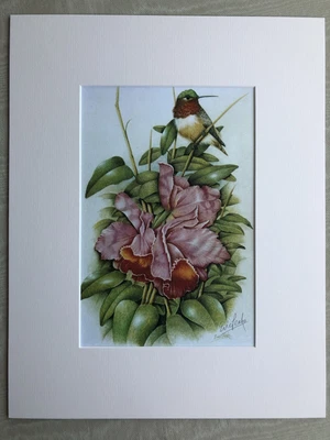 £25 • Buy ‘Hummingbird & Orchids’ Eric Peake MBE Artist Signed Print 14”x11” Overall Mount