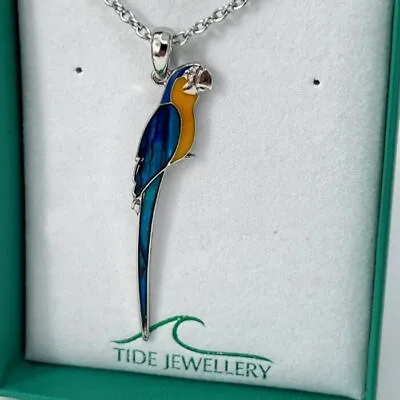 Macaw Parrot 50mm Paua Shell Necklace Pendant Abalone Tide Jewellery Gift Box • $23.36