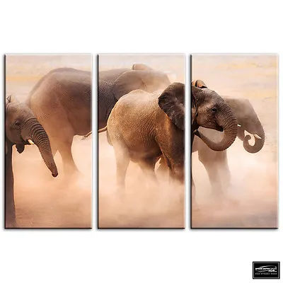 Baby Elephant   Animals BOX FRAMED CANVAS ART Picture HDR 280gsm • £24.99