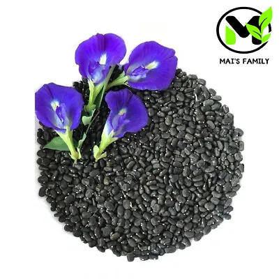 Butterfly Pea  Seeds (Clitoria Ternatea)- Hoa Đậu Biếc - Organic • $1.80