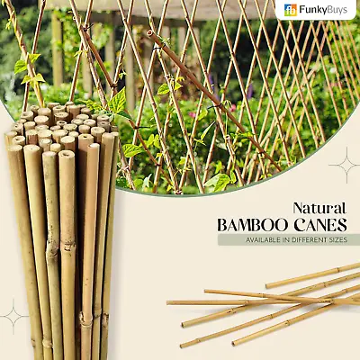 2ft – 6ft Bamboo Canes Strong Heavy Duty Garden Stick Thick Plant Flower Support • £21.96