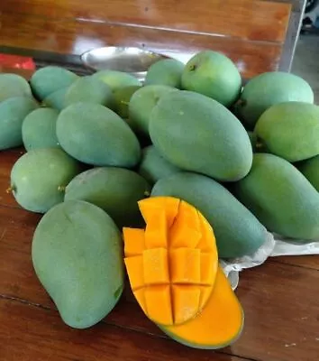 Arumanis Mango Seeds (Mangifera Indica) Var. Arumanis 5+ Seeds • $45