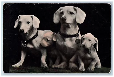 La Porte Minnesota MN Postcard Dachshund Puppy Dogs Animals 1910 Posted Antique • £14.55
