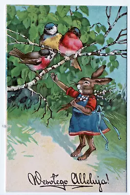 Easter Vintage Postcard Fantasy Dressed Female Bunny Rabbit Greets Birds Polish • $9.99
