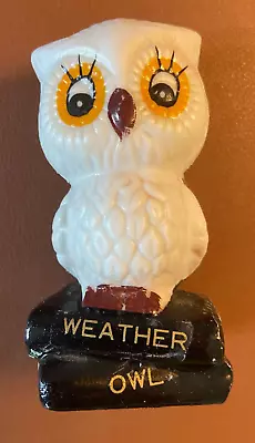 Forecasting VTG 1970's  Enesco White Owl On Books Figurine Weather Forecaster • $7