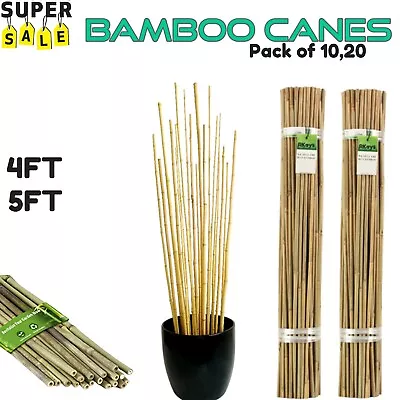 Large Bamboo Canes Heavy Duty Garden Stake Strong Thick Support Plant Stick • £11.98