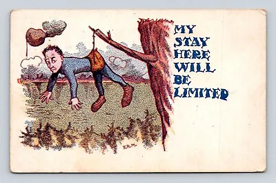 Antique Humor Postcard LIMIED STAY Man Stuck Tree Limb Mayville/Woodland WI 1908 • $6.88