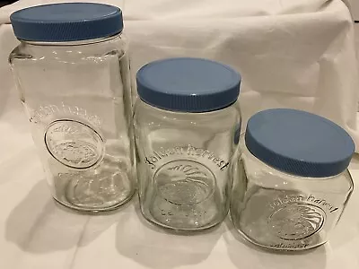 $16 • Buy Vintage Golden Harvest Cornucopia Glass Canisters Set Of 3 Light Blue Lid