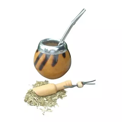 Argentina Mate Gourd Straw Cup Gourd Yerba Mate Bombilla Gaucho Drinking Kit • $20.50