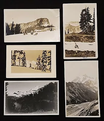 Lot Of 14 Photos Of Mt BakerArea Washington. 1910-30's. • $26.95