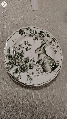 NEW Maxcera GREEN TOILE BUNNY RABBIT LUNCHEON SALAD PLATE Scallop Easter ~ONE~ • $33.95