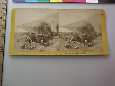 Mono Lake California Kilburn Stereoview Photo 969 Baskets • $25