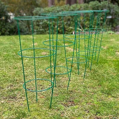 Pack Of 5 Metal Conical Garden Plant Support Rings (60cm) Herbaceous Stake • £26.99