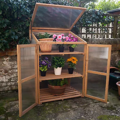 Woodside Outdoor Wooden Plant Flower Vegetable Cold Frame Cupboard Growhouse • £74.99