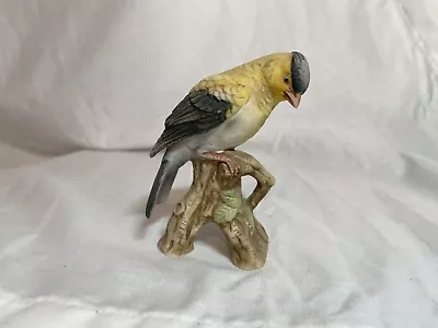 Vintage Lefton Gold Finch Porcelain Figurine Hand Painted Japan Kw1251 • $14.99