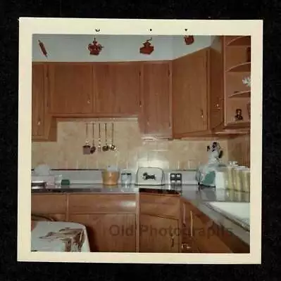 Brown Wood Kitchen Scotty Dog Toaster Cover Old/vintage Photo Snapshot- H212 • $7.99