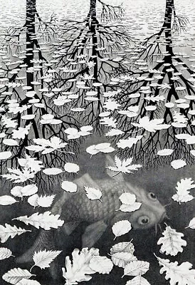 M.C. ESCHER Three Worlds (1955) (62x42.5cm) CANVAS POSTER FREE P&P • £45.60