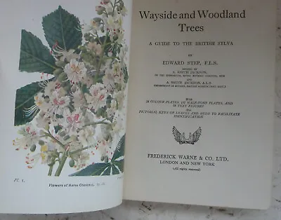 Vintage Book 1945 Wayside And Woodland Trees Illustrated Guide Natural History • £12