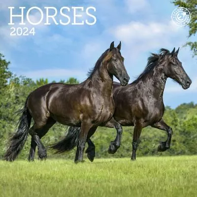 Ziga Media  Horses 2024 Mini Wall Calendar • $16.16