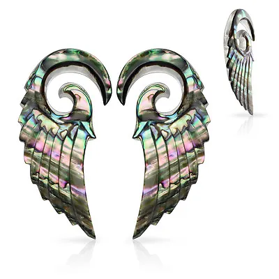 PAIR Organic Abalone Angel Wing Tapers Plugs Expanders Gauges Body Jewelry • $27.95