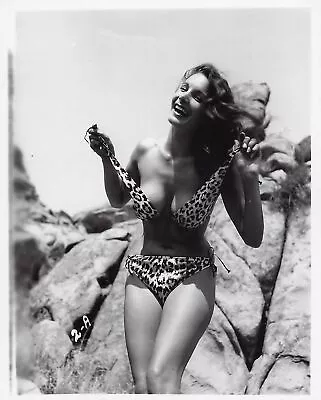 Model VIVIAN MALEDY Pin Up Publicity Poster Picture Photo Print 5  X 7  • $9.50