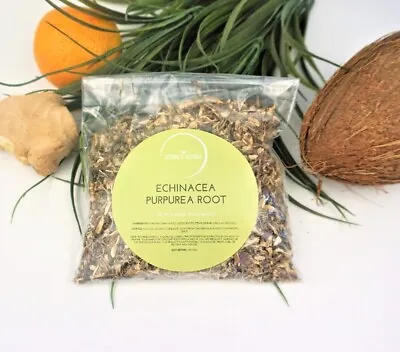 Echinacea Purpurea Root Dried Tea High A Grade Grown In Nature 10G-1KG • £3.59