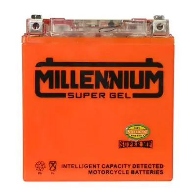 Millennium Yb14L-Bs Super Igel (Yb14L-A2/B2) • $110