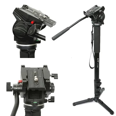 Professional Heavy Duty Monopod Fluid Head Kit  DSLR Camera Camcorder 72 Inch • $99.99
