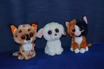 TY Beanie Boos  Lot Of 3 Toys   Buckwheat   &  Tauri  &  Pippie  ~ Height: 22 Cm • $40