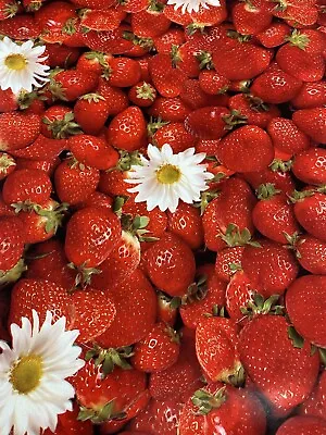 Vintage Strawberry Wipe Clean PVC Vinyl Oilcloth Tablecloth 140cm X 200cm Long • £9.99