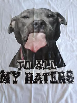 Amstaff T Shirt    TO ALL MY HATERS  . White Size M - L  BNIP  FREE POSTAGE • $22