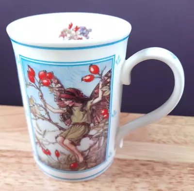 Flower Fairies Danbury Mint Mug Vintage 1997 Blackberry Hawthorn Rose Slip • £9.95