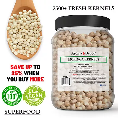 Moringa KERNEL 2 Lb. Shelled Granos 2500 Semillas De Moringa Seeds Oleifera Bulk • $32.90