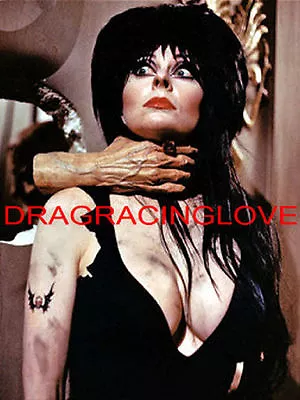 Cassandra Peterson  Elvira   Mistress Of The Dark  HOT  Pin-Up  PHOTO! #(31)  • $9.99