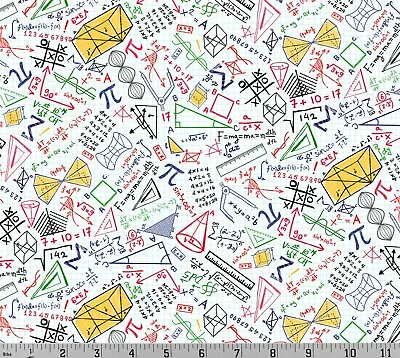 Math Equations Engineer Science Calculus Nerd Cotton Fabric Timeless Treasures • $4.70