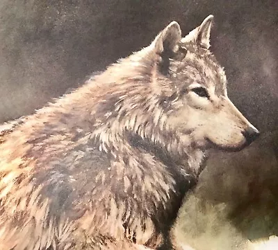 Limited Edition Numbered & Signed Wildlife Wolf Art Lithograph By Morten Solberg • $199