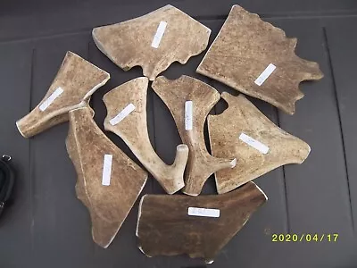 £10.50 • Buy Fallow Deer Antler  Dog Chews,100% Natural  145-185 Grams .Each X LARGE.