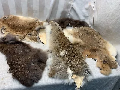 5 Pc Assorted Mink Rabit Coyote Animal Fur Pelts Skin Hides Various Sizes • $48