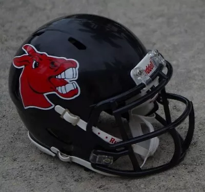 Central Missouri Mules Football Mini Helmet +versions Too • $49