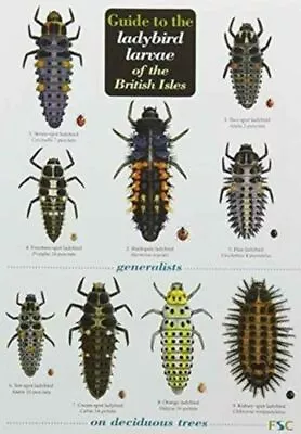 Guide To The Ladybird Larvae Of The British Isles UC Brown Peter Field Studies C • £9.85